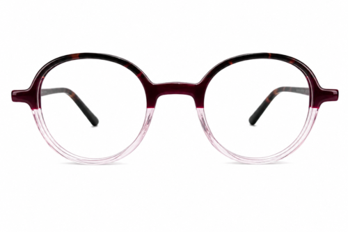 Modelo R1145