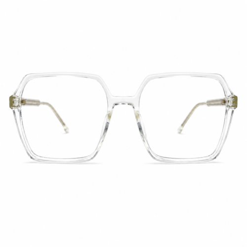 Modelo R6019