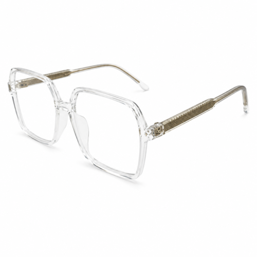 Modelo R6019