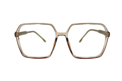 Modelo R6017